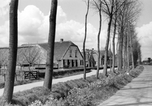 841037 Gezicht op enkele boerderijen aan de Lagedijk te Schalkwijk (gemeente Houten).